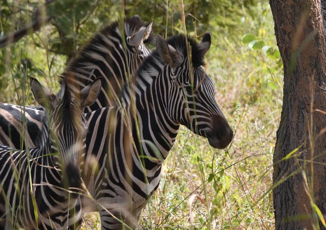 Nachmittags und Abends Freizeit
